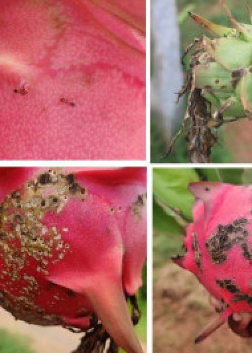 Screenshot 2025-11-07 115730