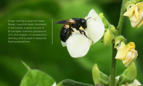 Screenshot 2026-02-06 124335