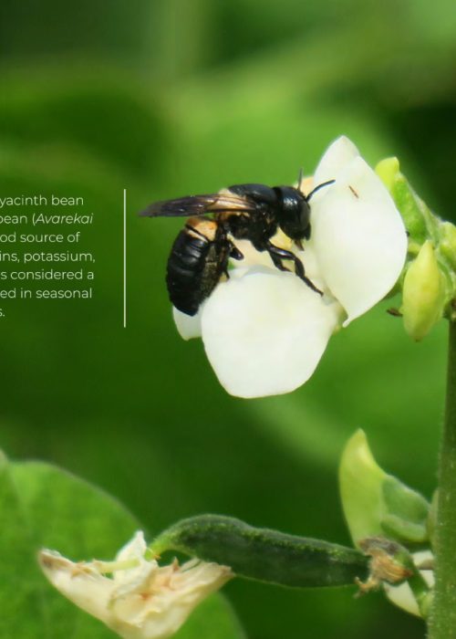 Screenshot 2026-02-06 124335