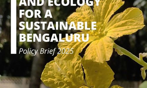 Screenshot 2026-02-06 130108