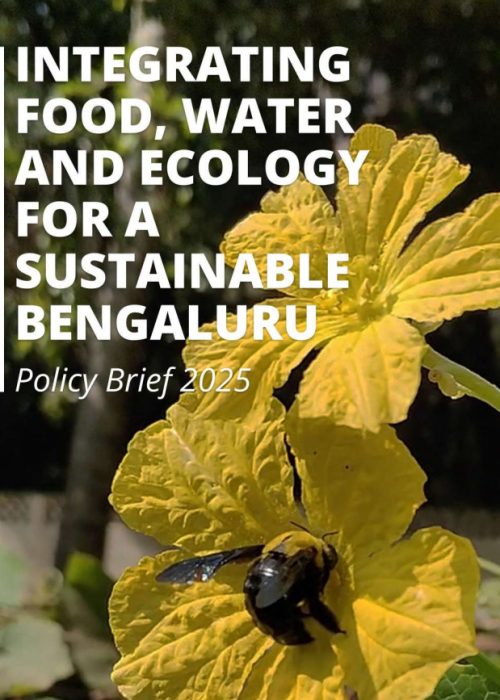 Screenshot 2026-02-06 130108