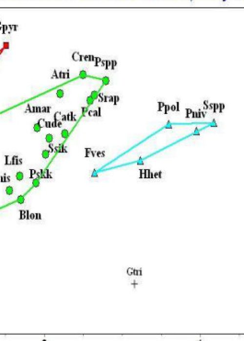 Screenshot 2026-03-05 144924