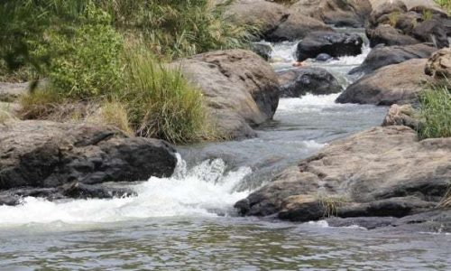 Thamirabarani-river