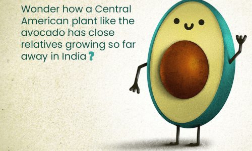 Untitled-1Artboard 1