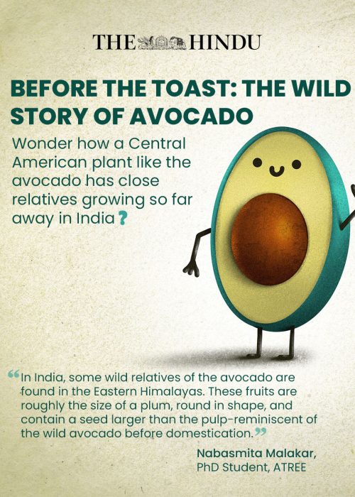 Untitled-1Artboard 1