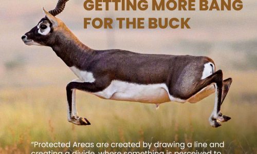 Untitled-1Artboard 2