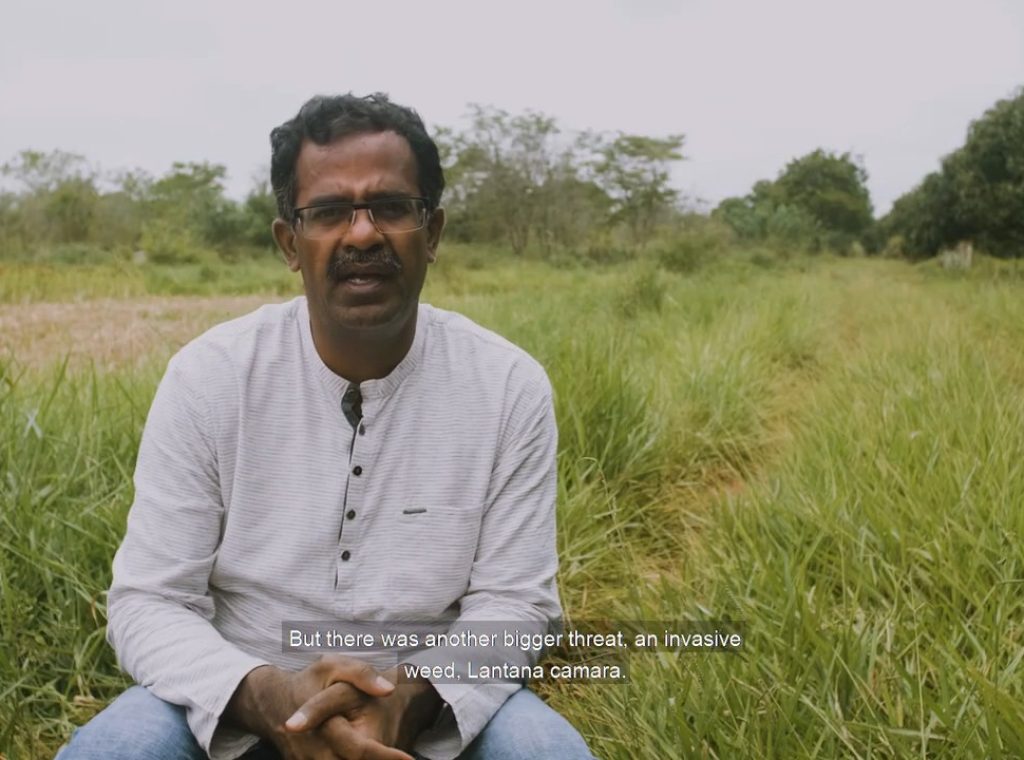 Weeds to Wealth, India 0-52 screenshot