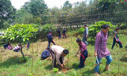 Beyond Planting Trees: Restoring Native Forest and Freshwater Ecosystems In Darjeeling Himalaya