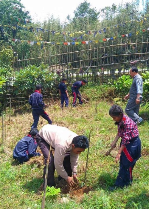 Beyond Planting Trees: Restoring Native Forest and Freshwater Ecosystems In Darjeeling Himalaya