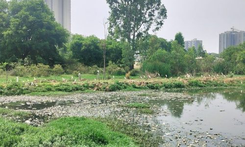 a tale of two lake