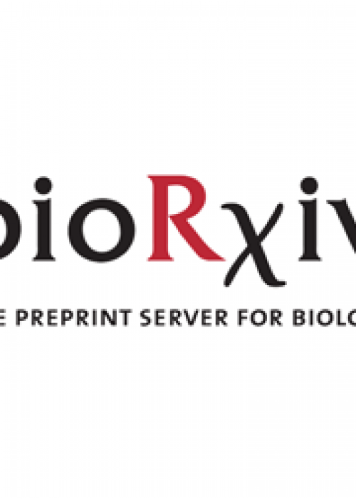 biorxiv_logo_homepage7-5-small