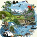 conservation