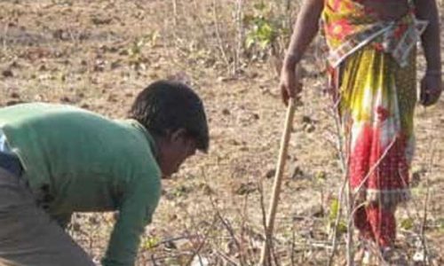 cooperative procurement