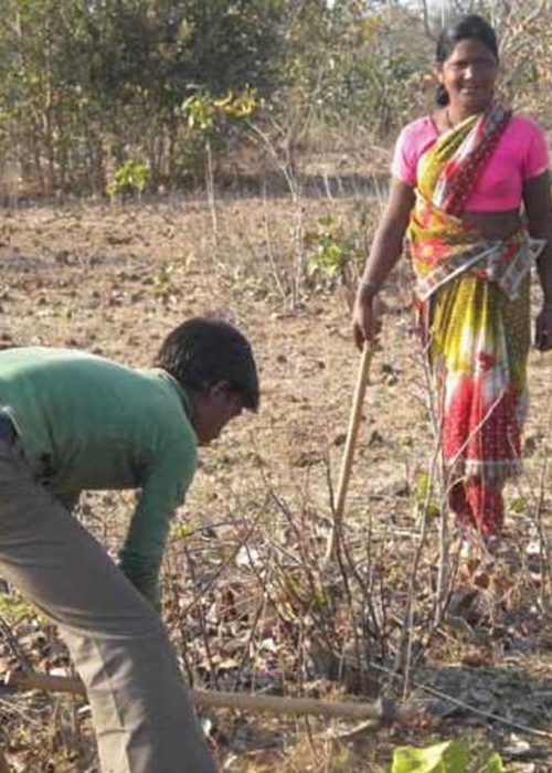 cooperative procurement