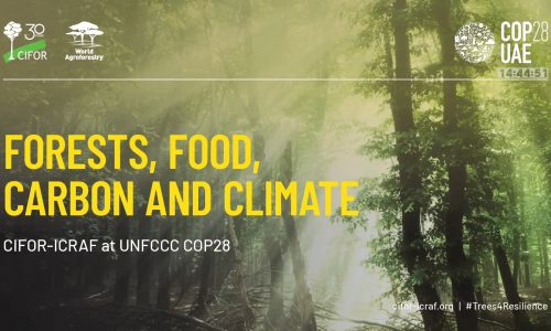COP28_ Scaling smallholder tree-based systems for resilience and carbon removals 0-1 screenshot
