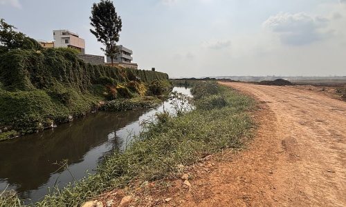 Lake Restoration in Bengaluru: Why Most Fixes Fall Short