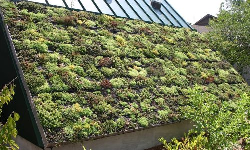 Nature-based Solutions: Hype or Hope?