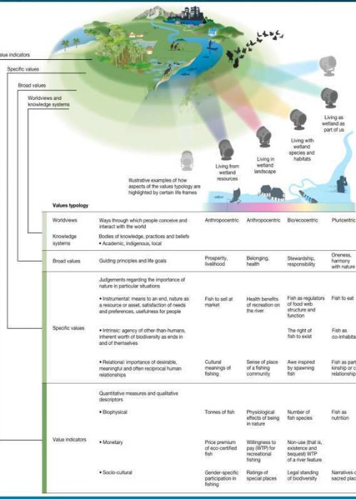diverse values of nature
