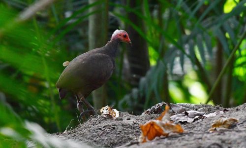 downtoearth2026-02-21h7yu2o5hNIC (1)