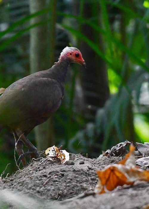 downtoearth2026-02-21h7yu2o5hNIC (1)