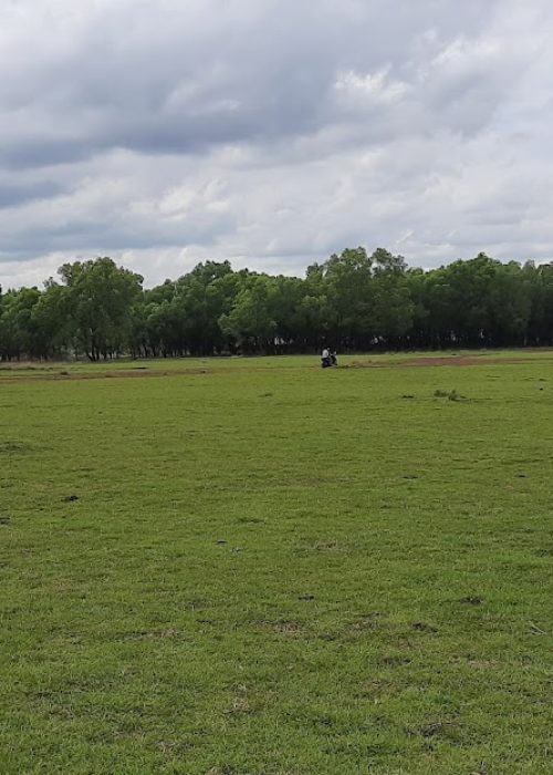 Hesaraghatta Grassland