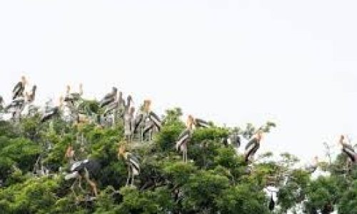 images (5)