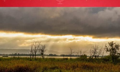 india-calls-its-grasslands-waste