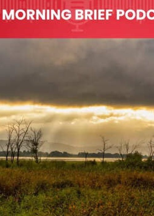 india-calls-its-grasslands-waste