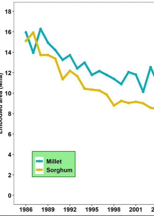 india millets