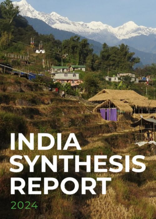 india synthesis