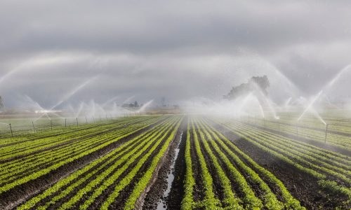 irrigation-7262563_1920-1920x890