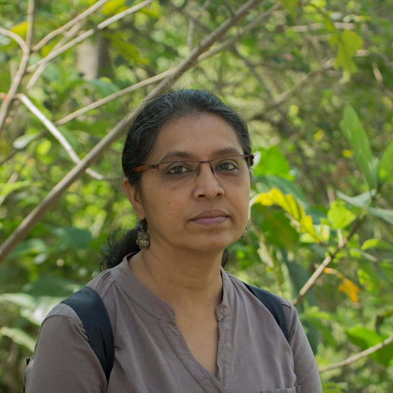 maithreyi