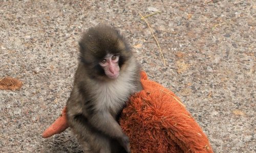 newindianexpress2026-02-25u9daks (1)