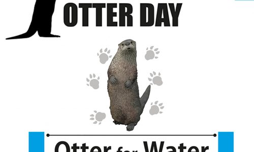 otter