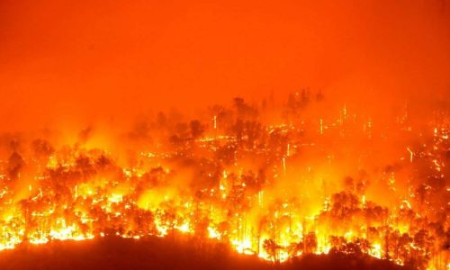phtos-of-the-year-environment-10-163861013116x9