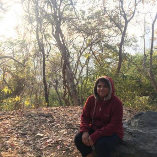 picture-260-1603533820