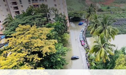 priya postArtboard 2