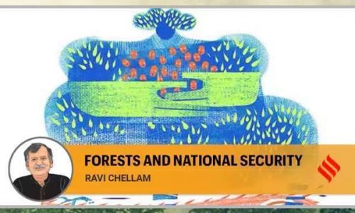 ravi chellam- forest
