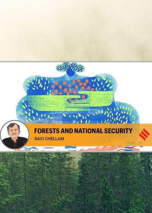 ravi chellam- forest