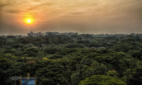 Setting_Sun_over_Bangalore_15515755582-768x512 (1)