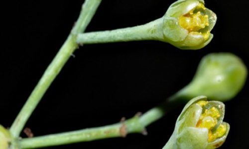 submission_53760_76598_coverImag (1)