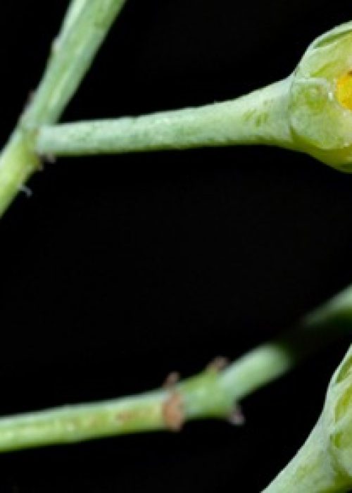 submission_53760_76598_coverImag (1)