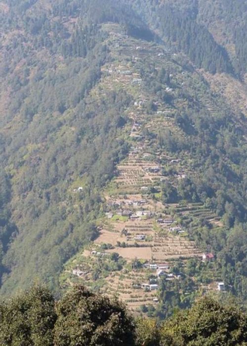 sustainable pathway