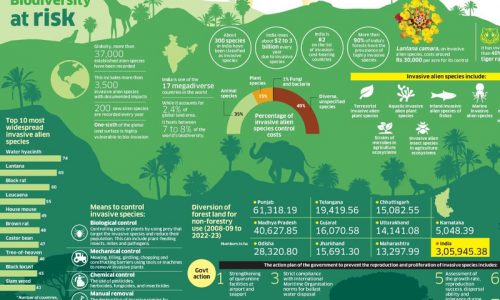 tackling invasive species