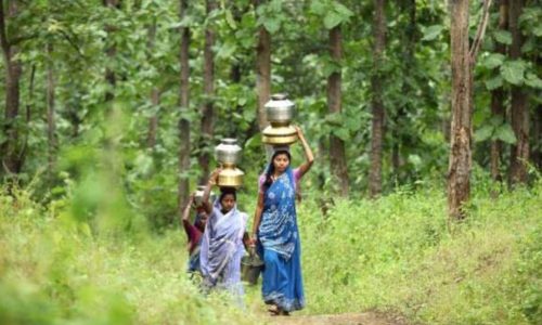 tribals_20250611074048_202601161